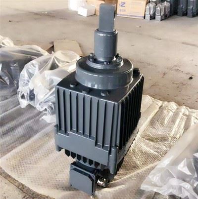 ED1250-60 Hydraulic Thruster China Manufacturer